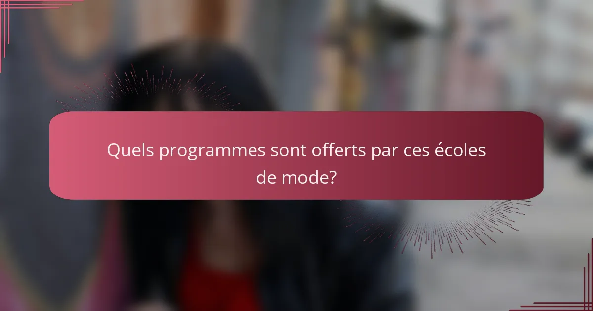 Quels programmes sont offerts par ces écoles de mode?